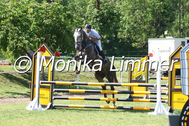 105M9810_Sir Loxley_Spingpf_A.JPG